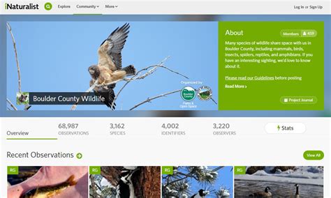 inaturalist website